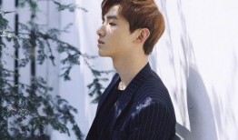 吃瓜娱乐圈吴磊百度云下载,独家百度云下载，揭秘明星幕后故事