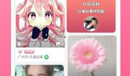 九尾最新爆料视频大全下载,揭秘幕后真相与精彩瞬间